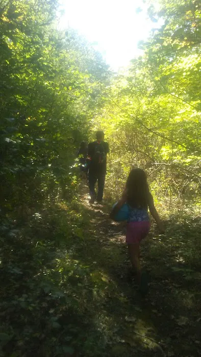 Oxford Pines Mobile Home Park Picture 3