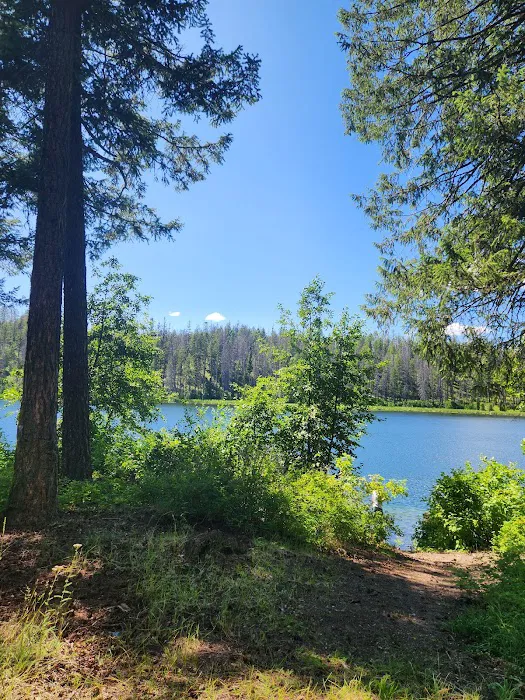 Maple Hill Estates Picture 3