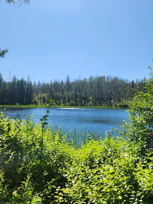 Maple Hill Estates Picture 2