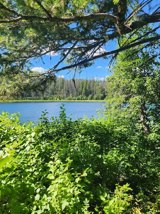 Maple Hill Estates Picture 4