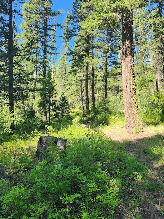 Maple Hill Estates Picture 5