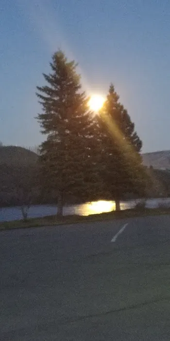Bridgeport RV Parks/Marina Park Picture 4