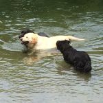 Bridgeport RV Parks/Marina Park