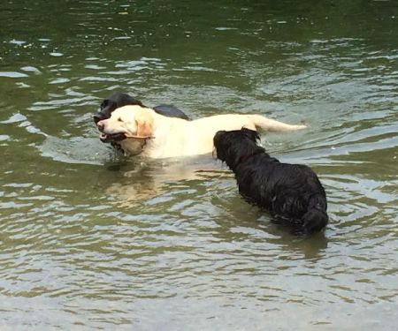 Bridgeport RV Parks/Marina Park