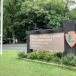 Jones Bay Campground