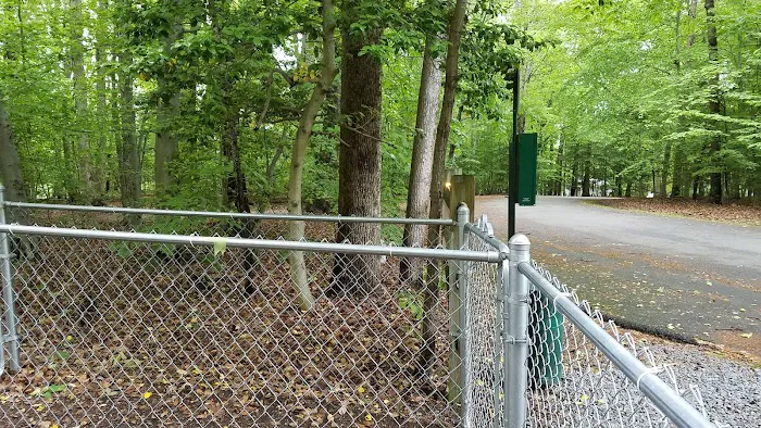 Jones Bay Campground Picture 9
