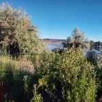 Bel Air Mobile Home Community