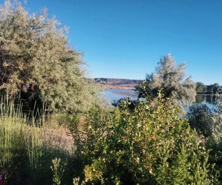 Bel Air Mobile Home Community