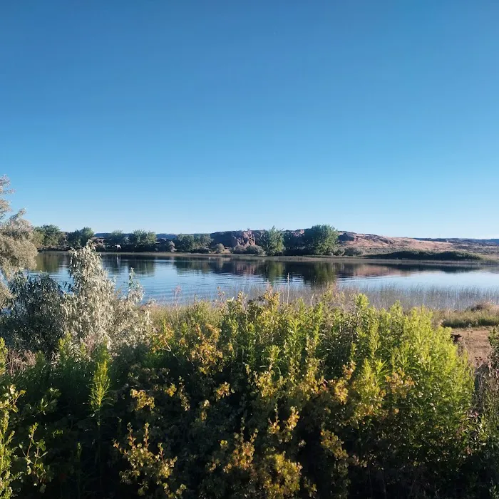 Jones Bay Campground Picture 3