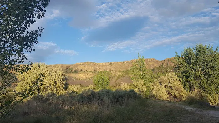 Jones Bay Campground Picture 5