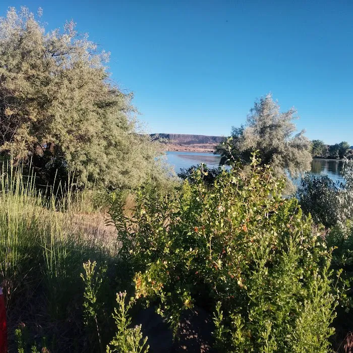 Jones Bay Campground Picture 8