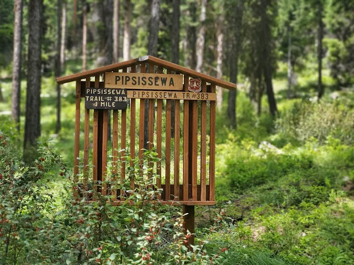 Bonaparte Lake Campground Picture 3