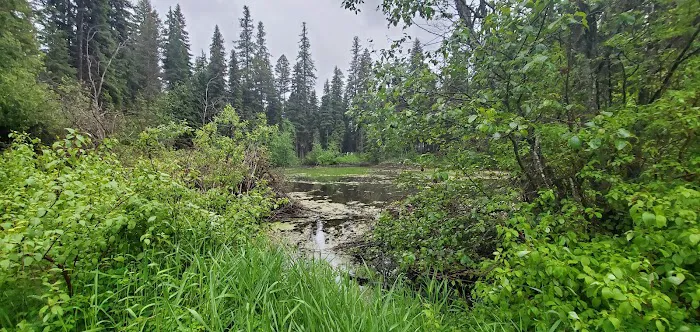 Bonaparte Lake Campground Picture 7
