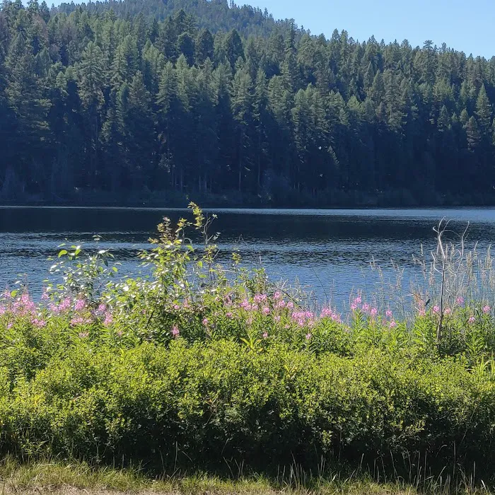 Lost Lake Group Campground Picture 3