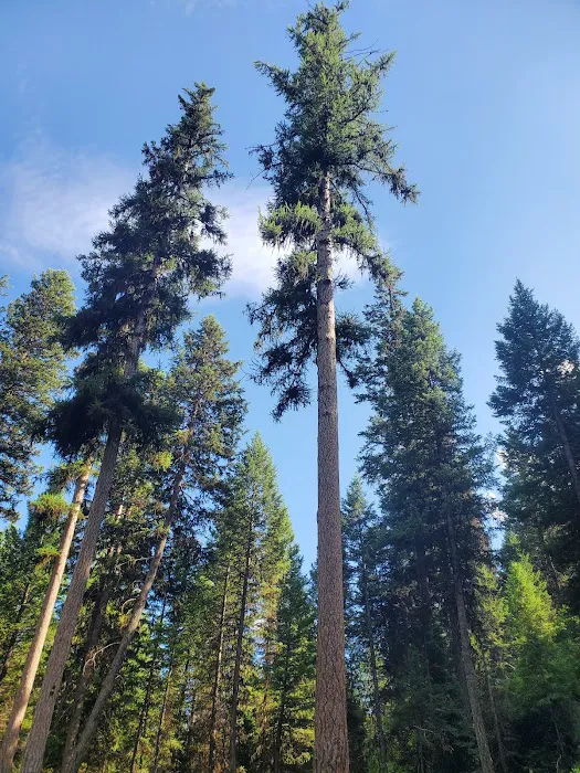 Lost Lake Group Campground Picture 9
