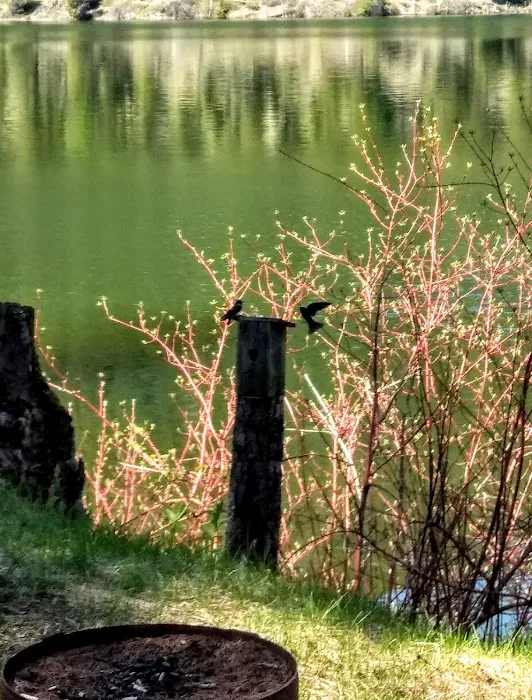 Beaver Lake Campground Picture 7