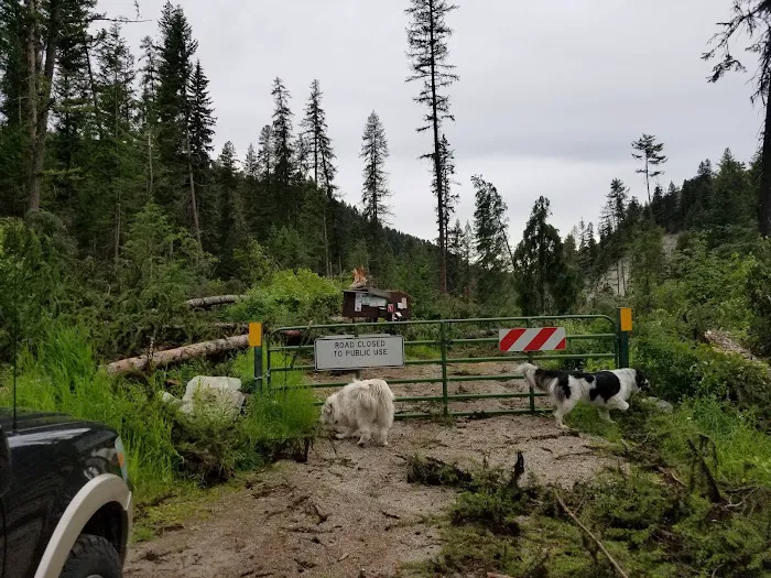Beaver Lake Campground Picture 4