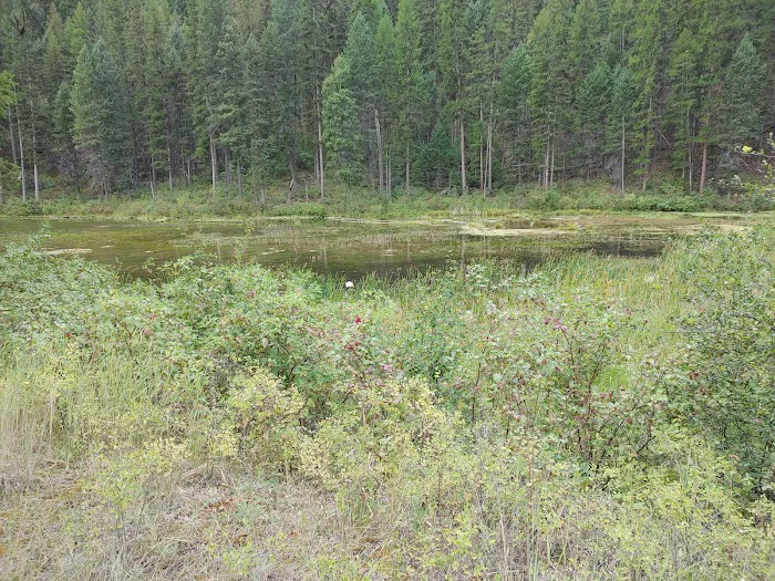 Beth Lake Campground Picture 9