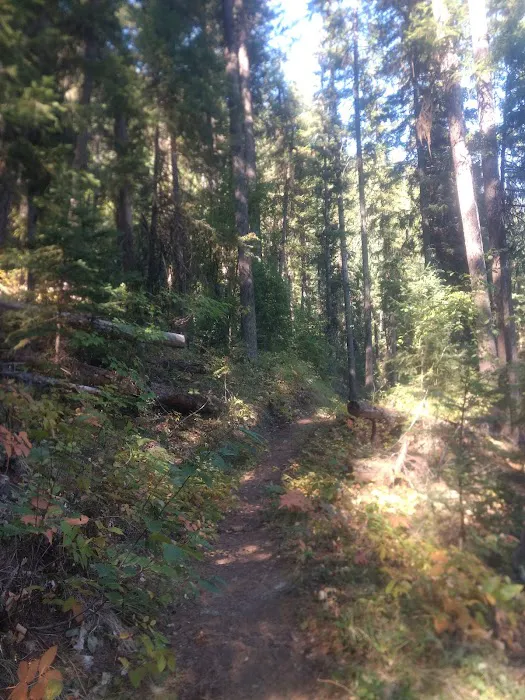 Beth Lake Campground Picture 4