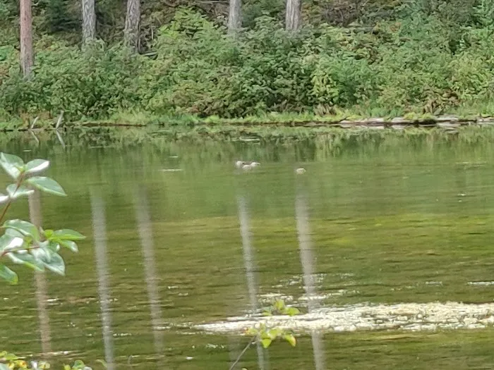 Beth Lake Campground Picture 5