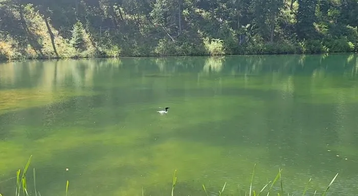 Beth Lake Campground Picture 7