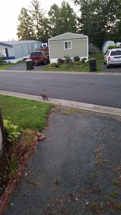 Foxwood Village Picture 1