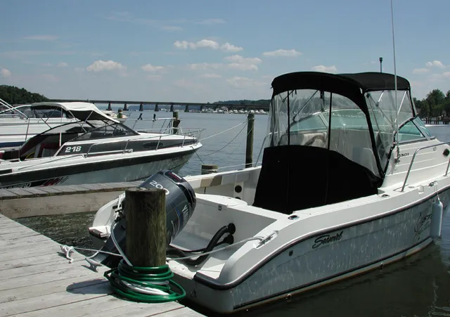 Holiday Harbor RV Park & Marina Picture 2