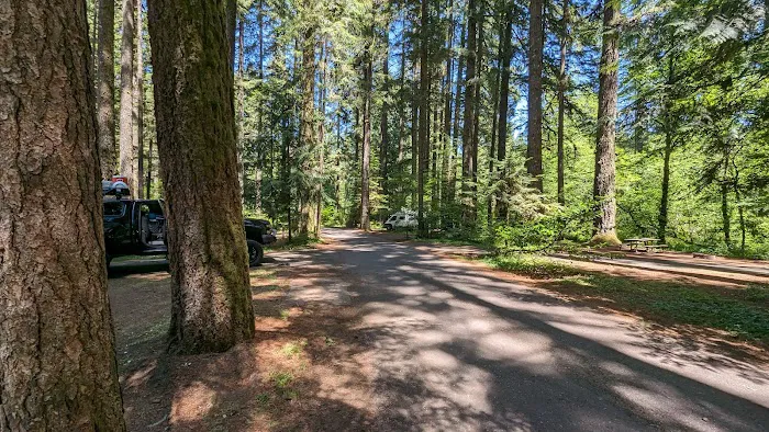 Silver Falls Campground Picture 3