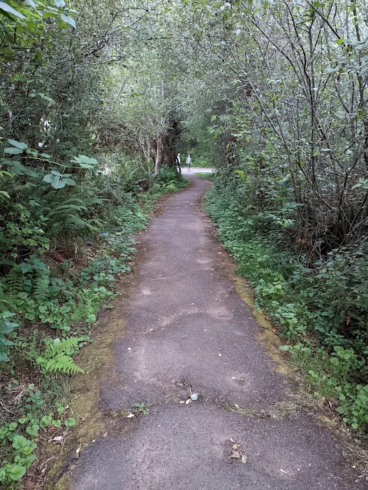 Silver Falls Campground Picture 9