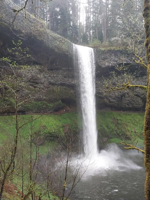 Silver Falls Campground Picture 4
