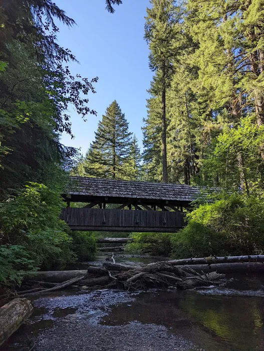 Silver Falls Campground Picture 8