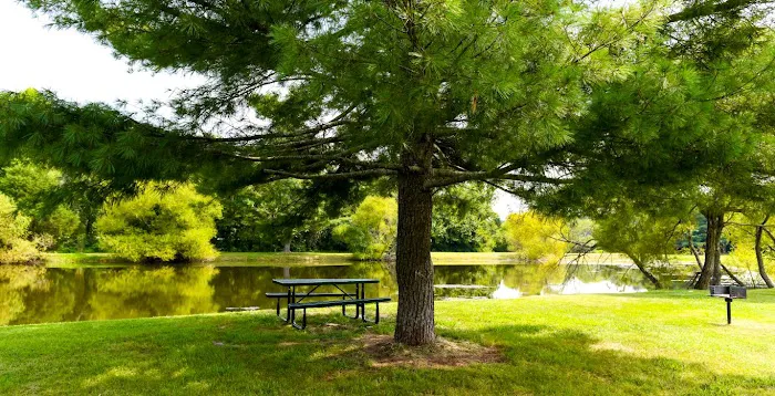 Marsh Run Picture 2