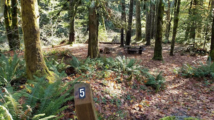 Shady Cove Campground Picture 2