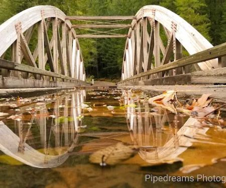 Shady Cove Campground