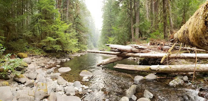 Bagby Hot Springs Campground Picture 3
