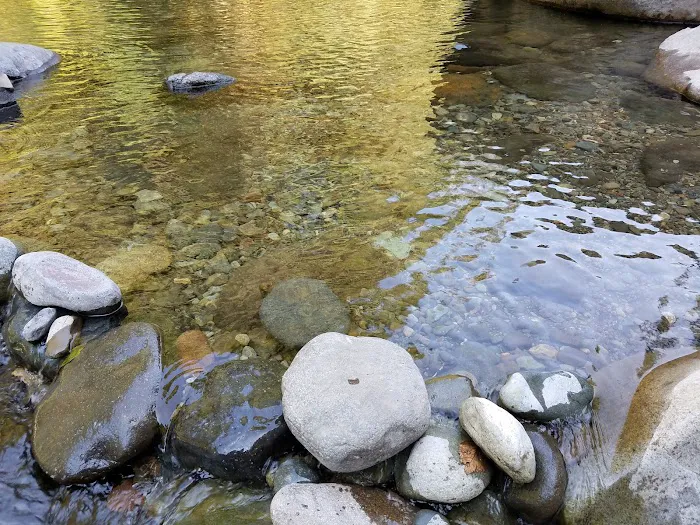 Elkhorn Valley Recreation Site Picture 7