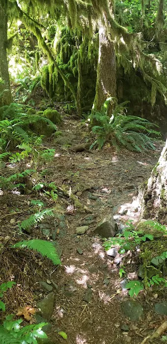 Elkhorn Valley Recreation Site Picture 4