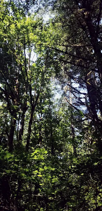 Elkhorn Valley Recreation Site Picture 3