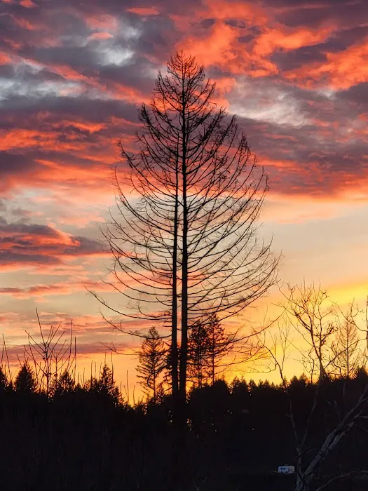 Taylor Park Picture 8