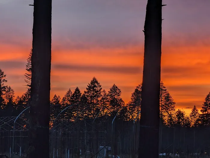 Taylor Park Picture 6