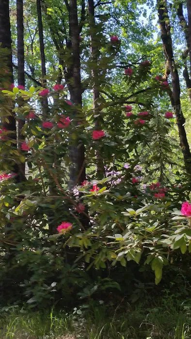 Taylor Park Picture 5