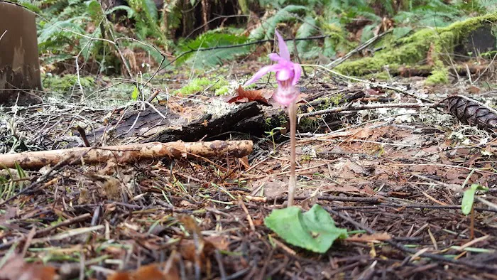 Taylor Park Picture 7