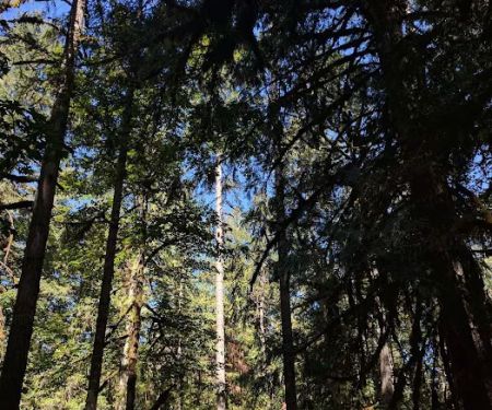 Fishermen's Bend Recreation Site