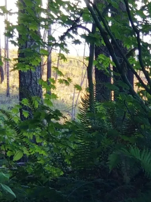 Santiam horse camp Picture 8