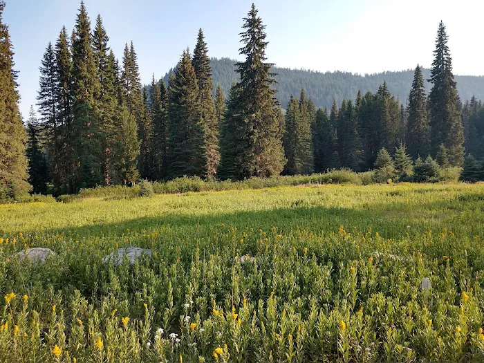 Elk Lake Campground Picture 9