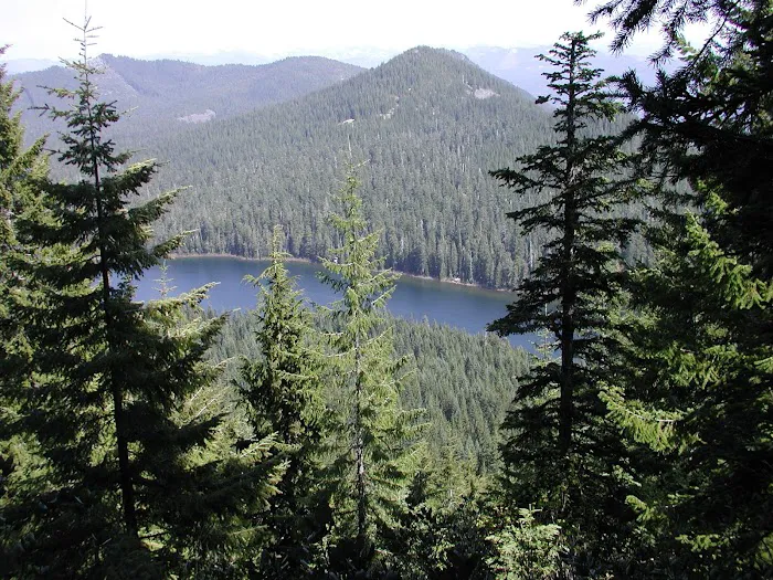 Elk Lake Campground Picture 3