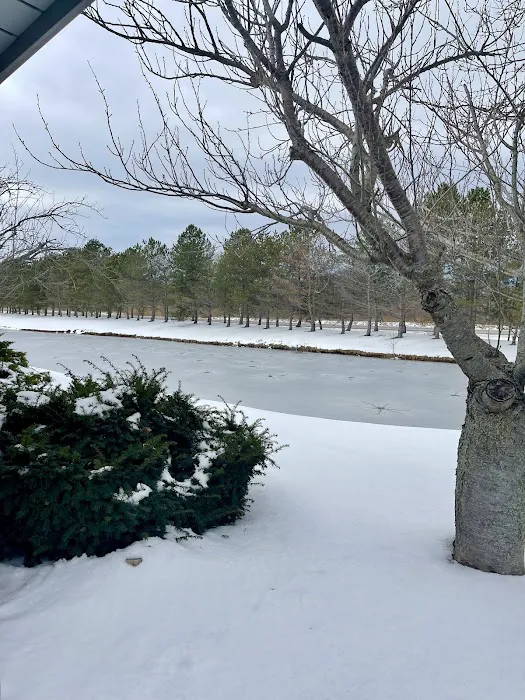 Heron Falls Picture 1