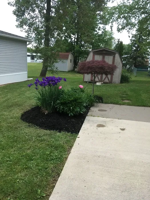 Heron Falls Picture 5