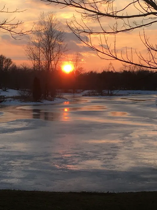 Heron Falls Picture 9