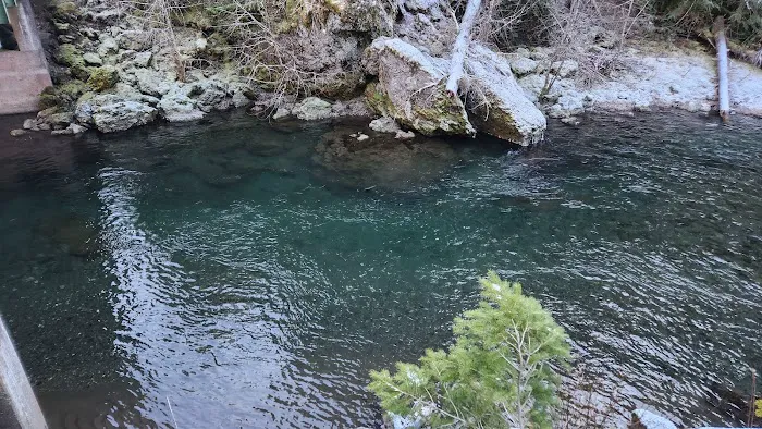 Little Fan Creek Campground Picture 4